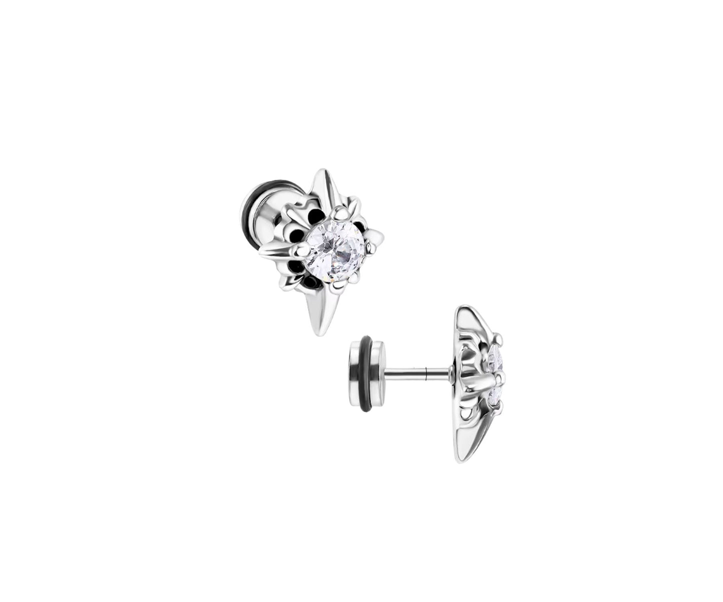 Stainless Steel Earrings