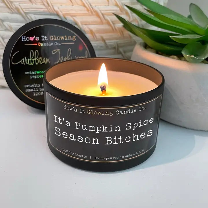 Sassy 100% Natural Soy Candle