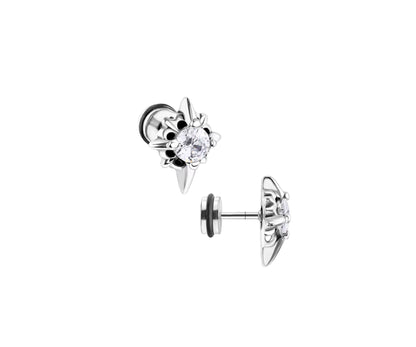 Stainless Steel Earrings